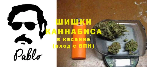 ALPHA PVP Ростов