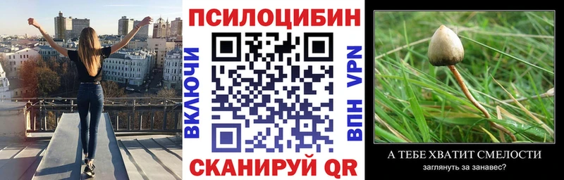купить  цена  Петровск  Галлюциногенные грибы Psilocybe 