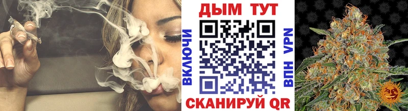 МАРИХУАНА семена  где найти   Петровск 